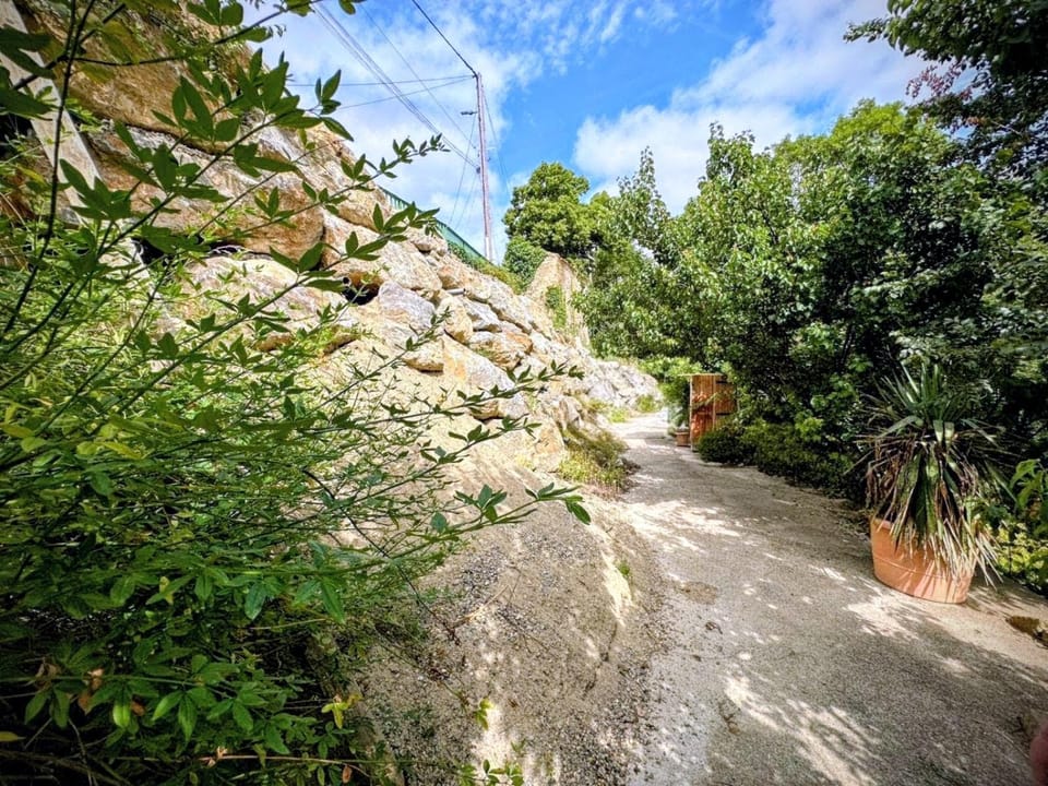 Patio, Spring, Day, Natural landscape