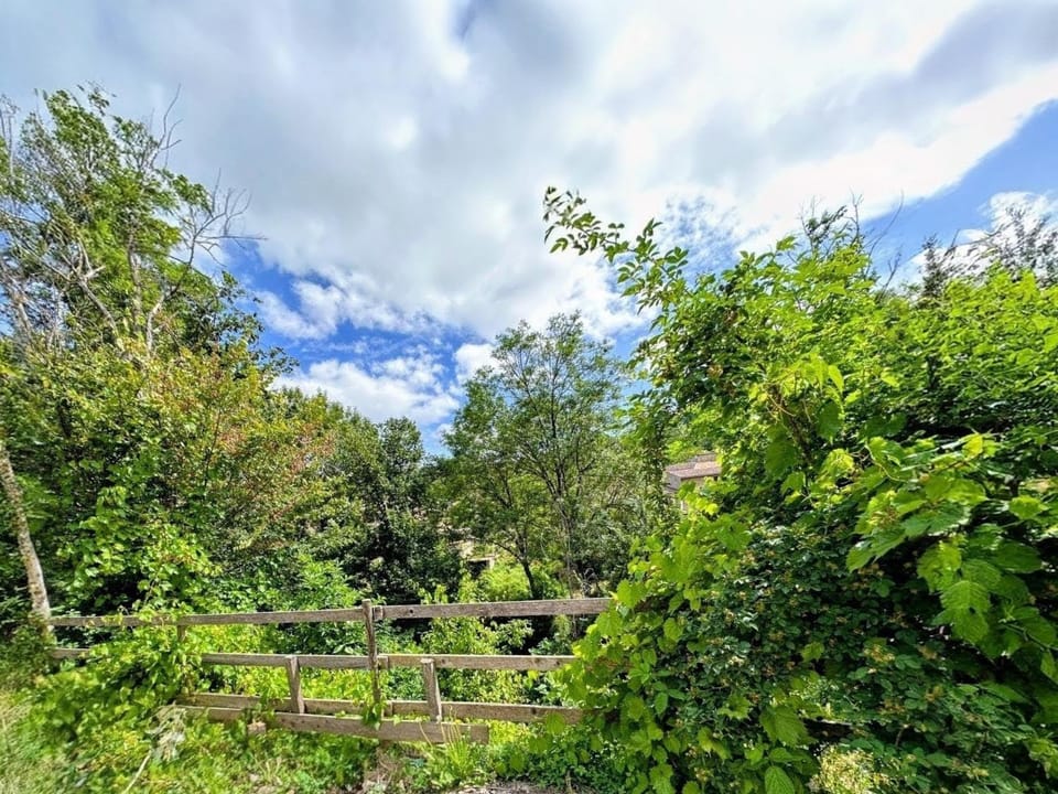 Spring, Natural landscape, Garden, Garden view