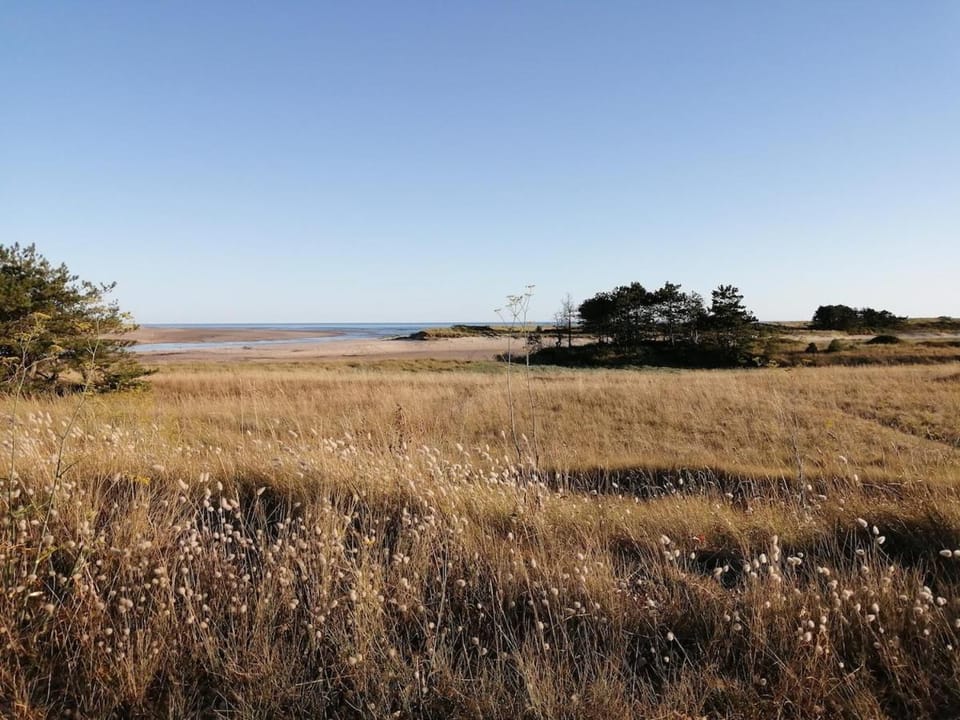 Maison avec jardin à la campagne House in Portbail