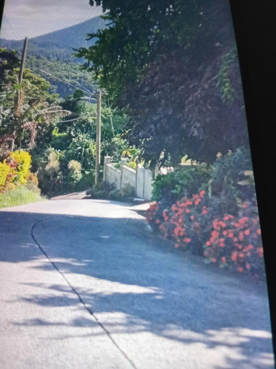 Jolly's Mountain Side Guest House Apartment in Dominica