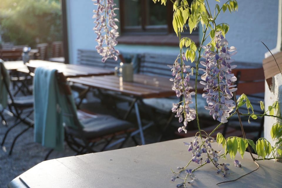 Restaurant/places to eat, Garden, Garden, Dining area