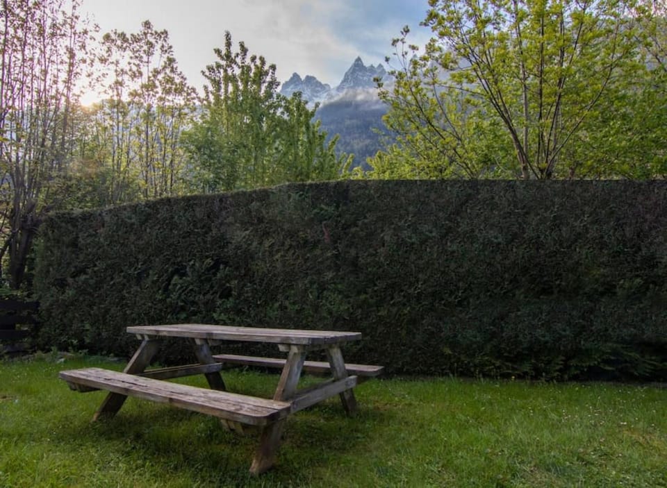 Sapi Cocon 4pax Centre Jardin Remontees TV Wifi Apartment in Chamonix