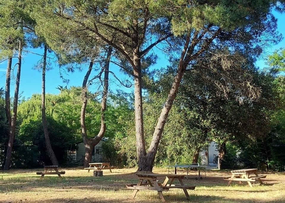 Camping Les Fougères - Maeva Campground/ 
RV Resort in Rivedoux-Plage