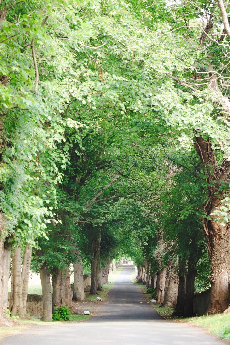 Natural landscape