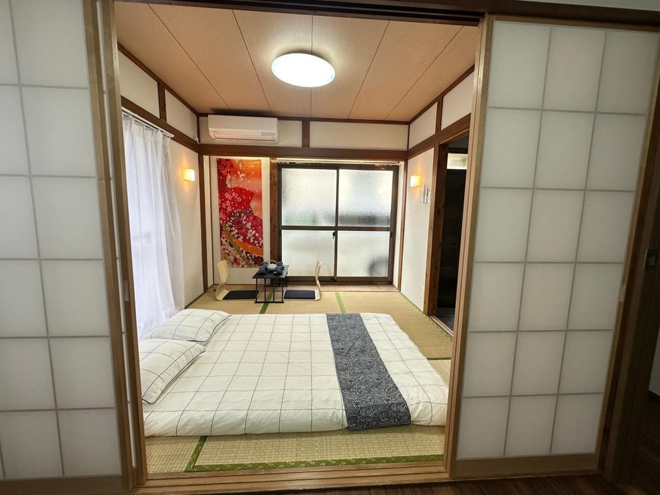 Akihabara, Skytree, Disney, Asakusa Temple, Traditional Japanese Ryokan, Airport Pick-up and Drop-off Villa in Japan