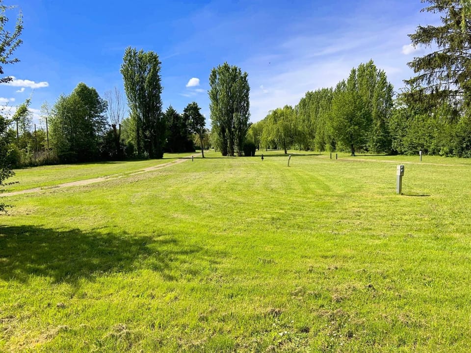 Spring, Day, Natural landscape, Garden, Garden view
