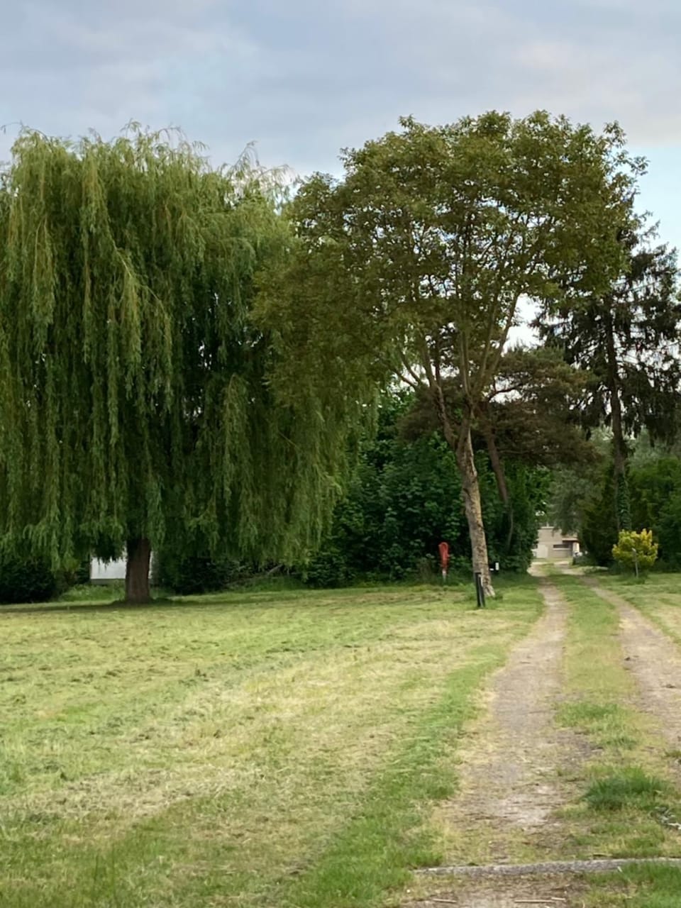 Spring, Day, Natural landscape, Garden, Garden view