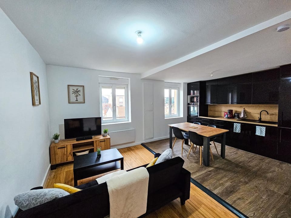 Funky 2 chambres 4 pers WIFI TV Apartment in Saint-Étienne