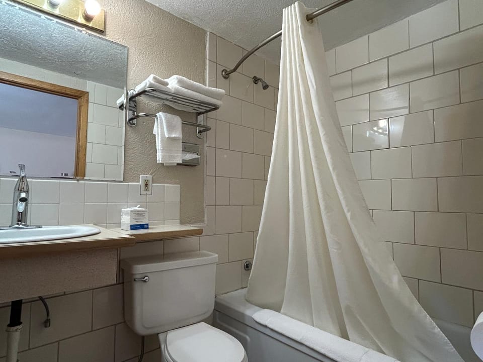 Shower, Toilet, Bathroom, Bath, towels