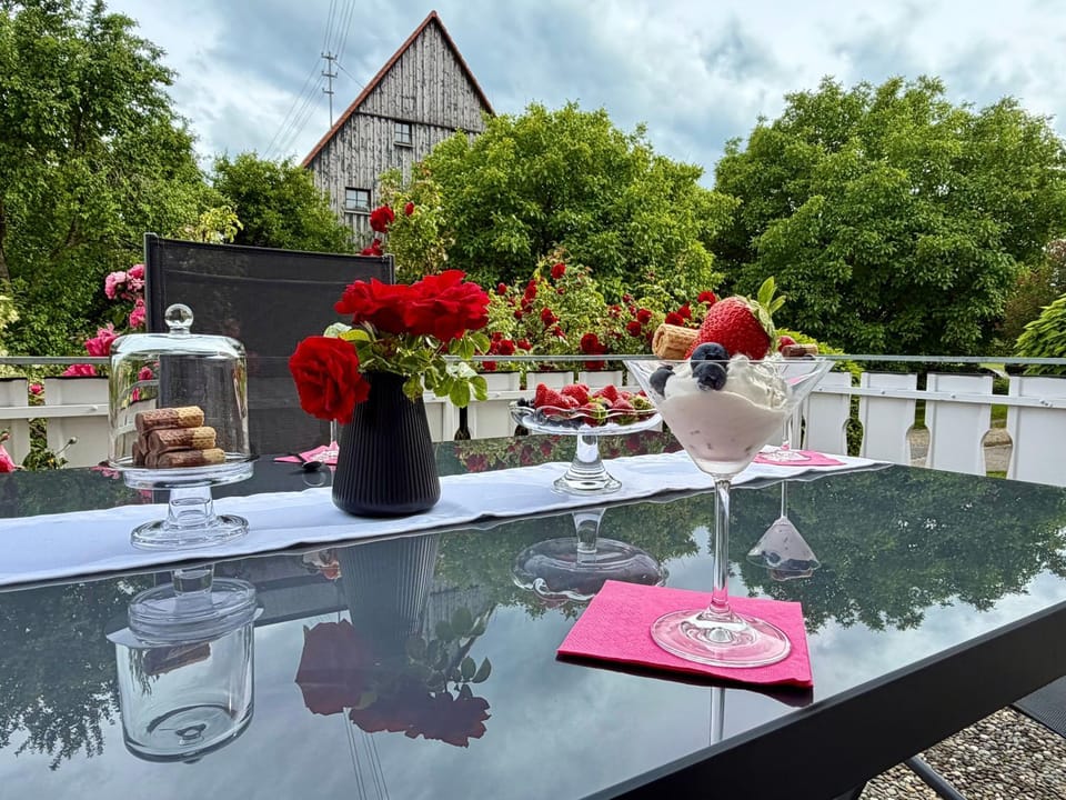 Ferienwohnung Sieglinde Apartment in Villingen-Schwenningen
