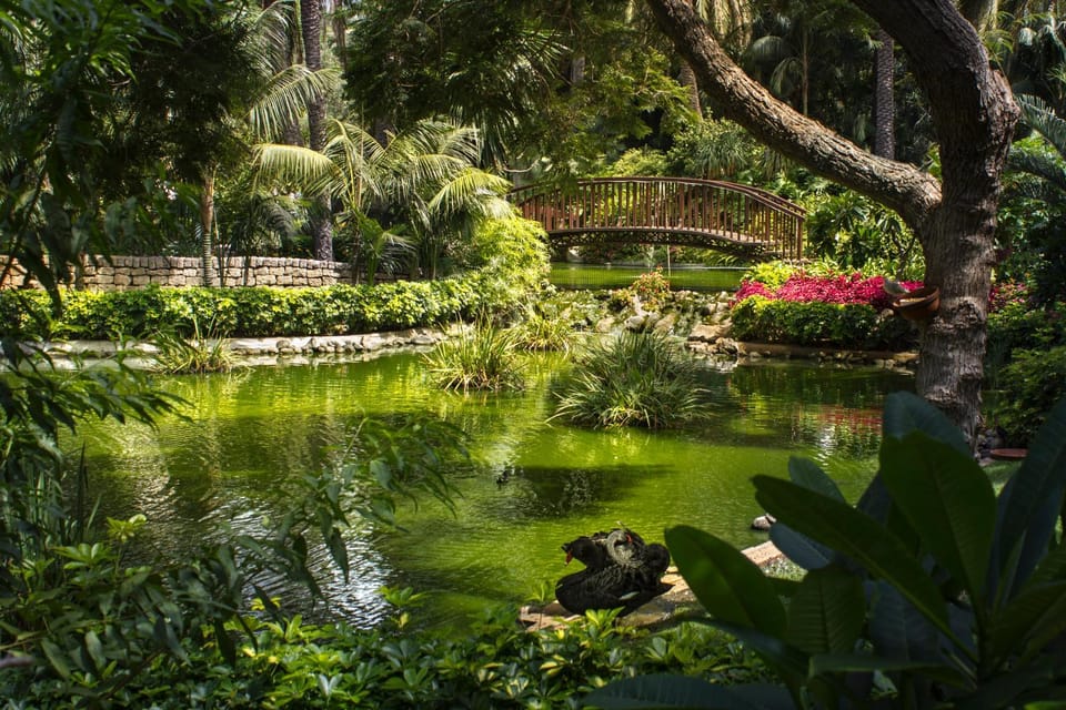 Garden, Lake view, Mountain view