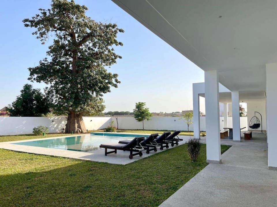 Patio, Garden, Swimming pool