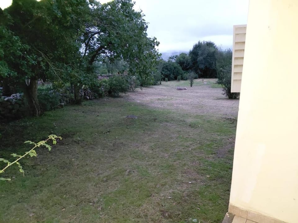 Patio, Natural landscape, Garden, Garden view, Inner courtyard view