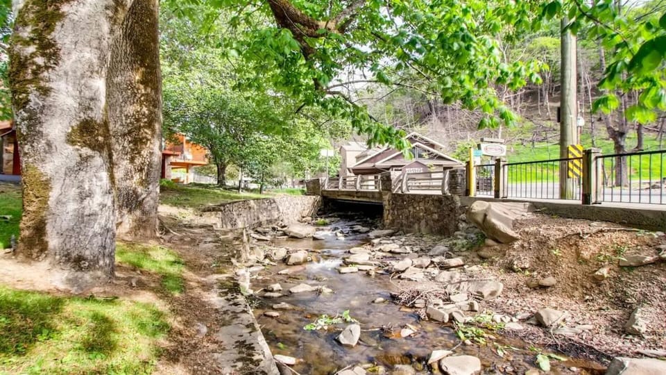 5 Star LUXURY 3BR3BATH Downtown Gatlinburg WALK EVERYWHERE Sleeps 6 House in Gatlinburg