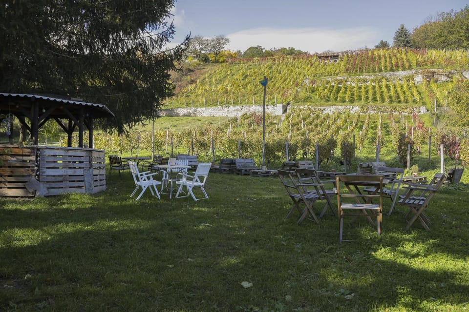 Garden, Garden view