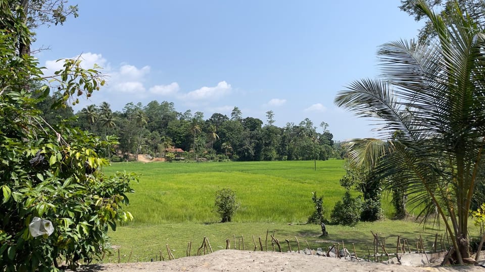 View (from property/room)