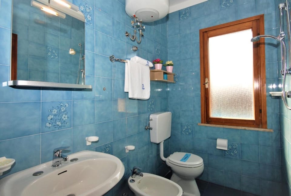 Toilet, Bathroom, bidet