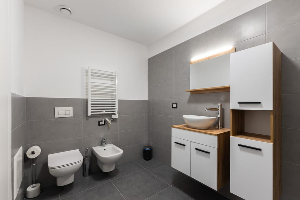 Toilet, Bathroom, bidet
