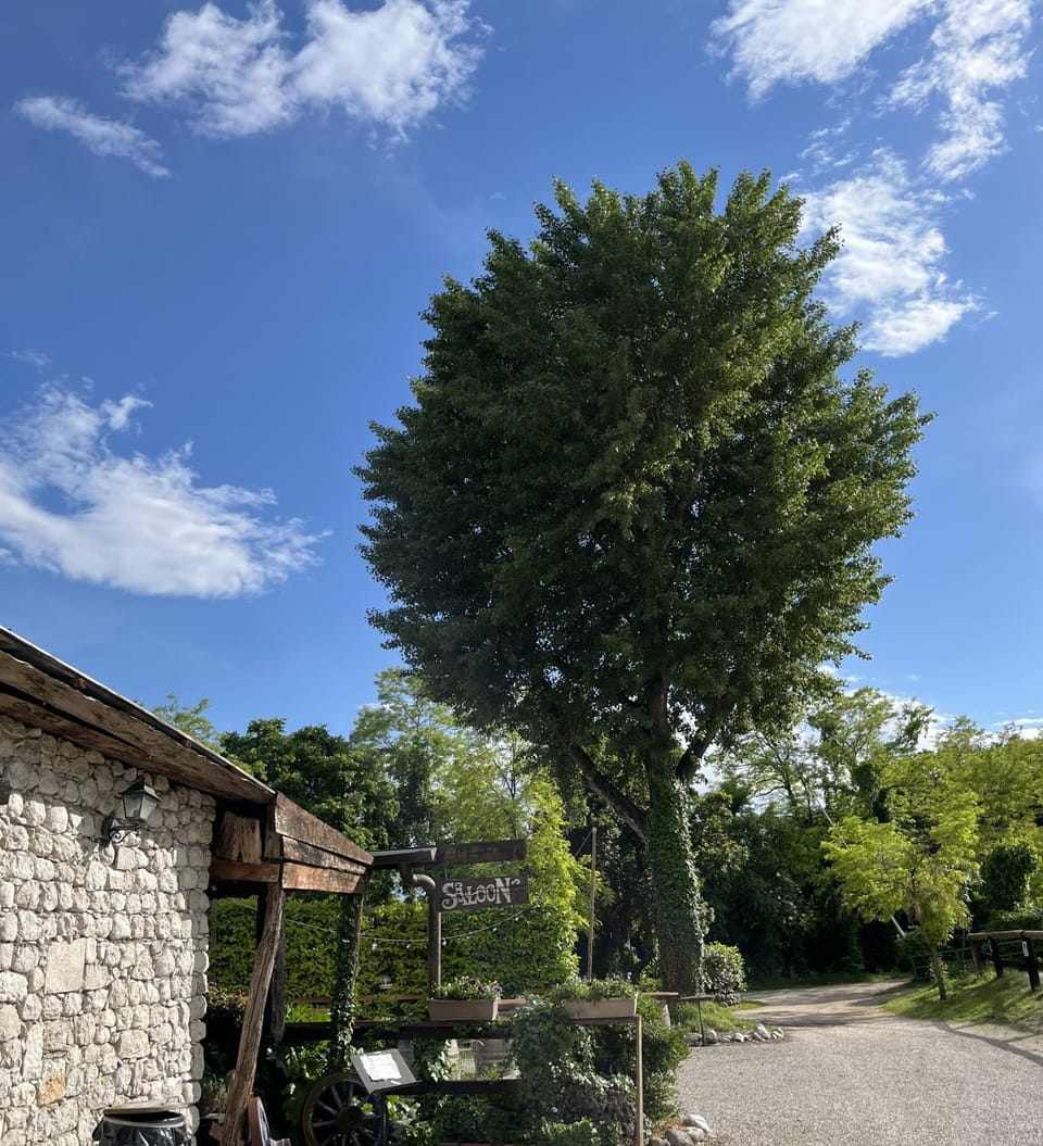 Property building, Garden
