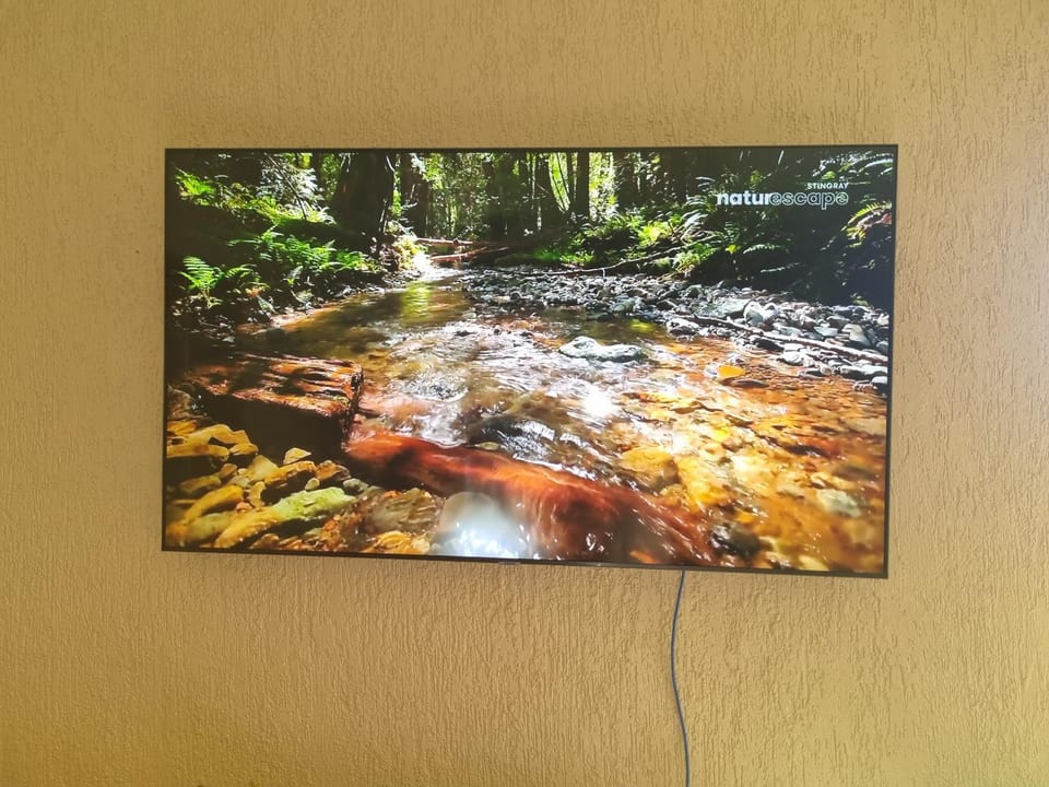 TV and multimedia