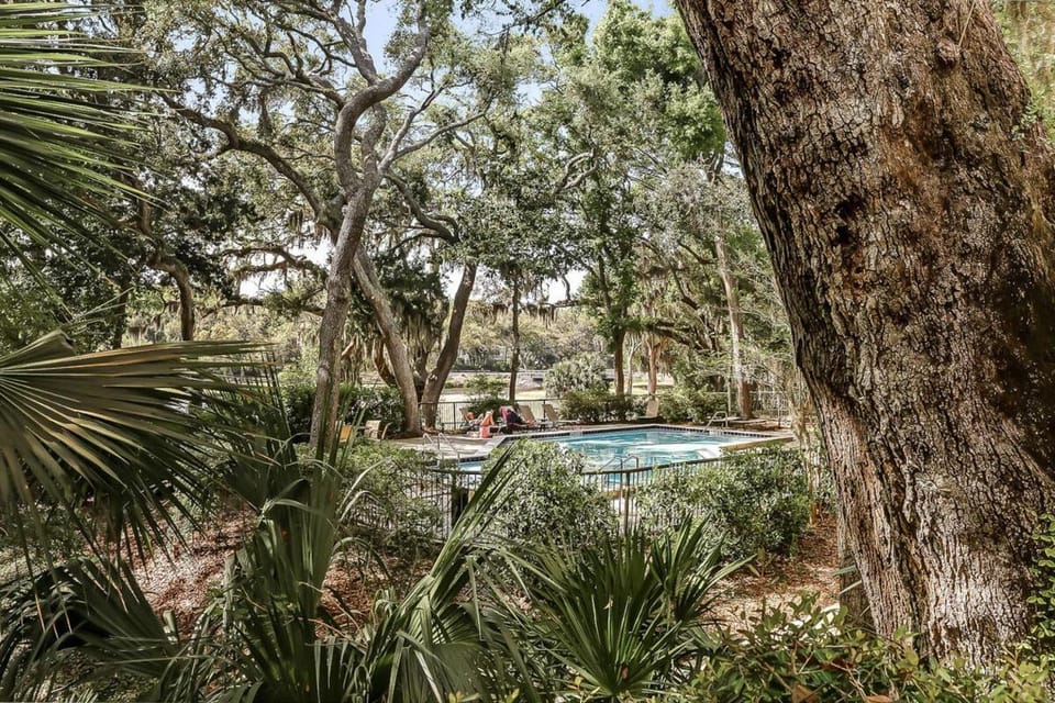Day, Natural landscape, Garden view, Pool view, Swimming pool