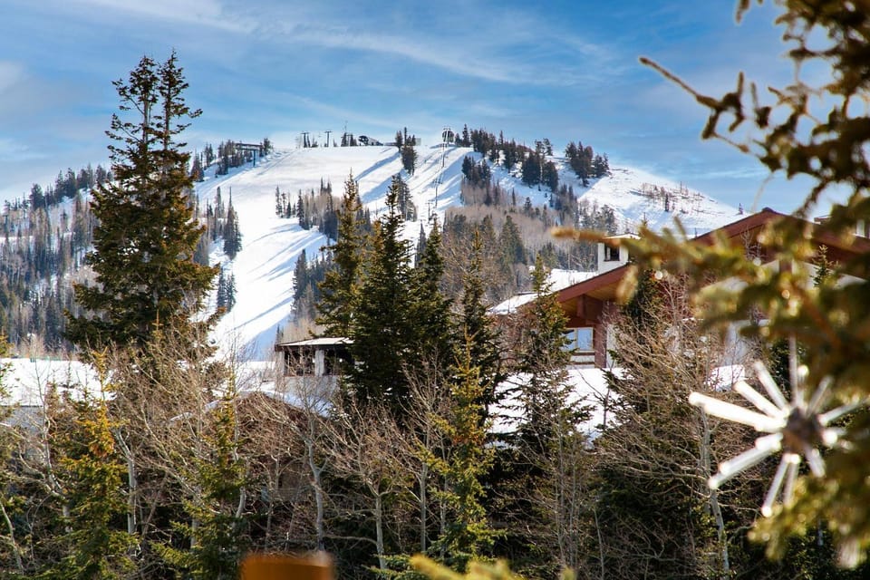 Abode at Black Bear 201 House in Deer Valley