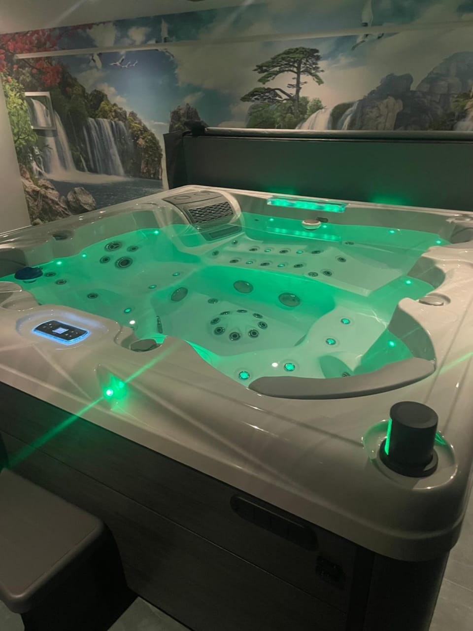 Hot Tub, Hot Tub, Spa and wellness centre/facilities, Spa and wellness centre/facilities