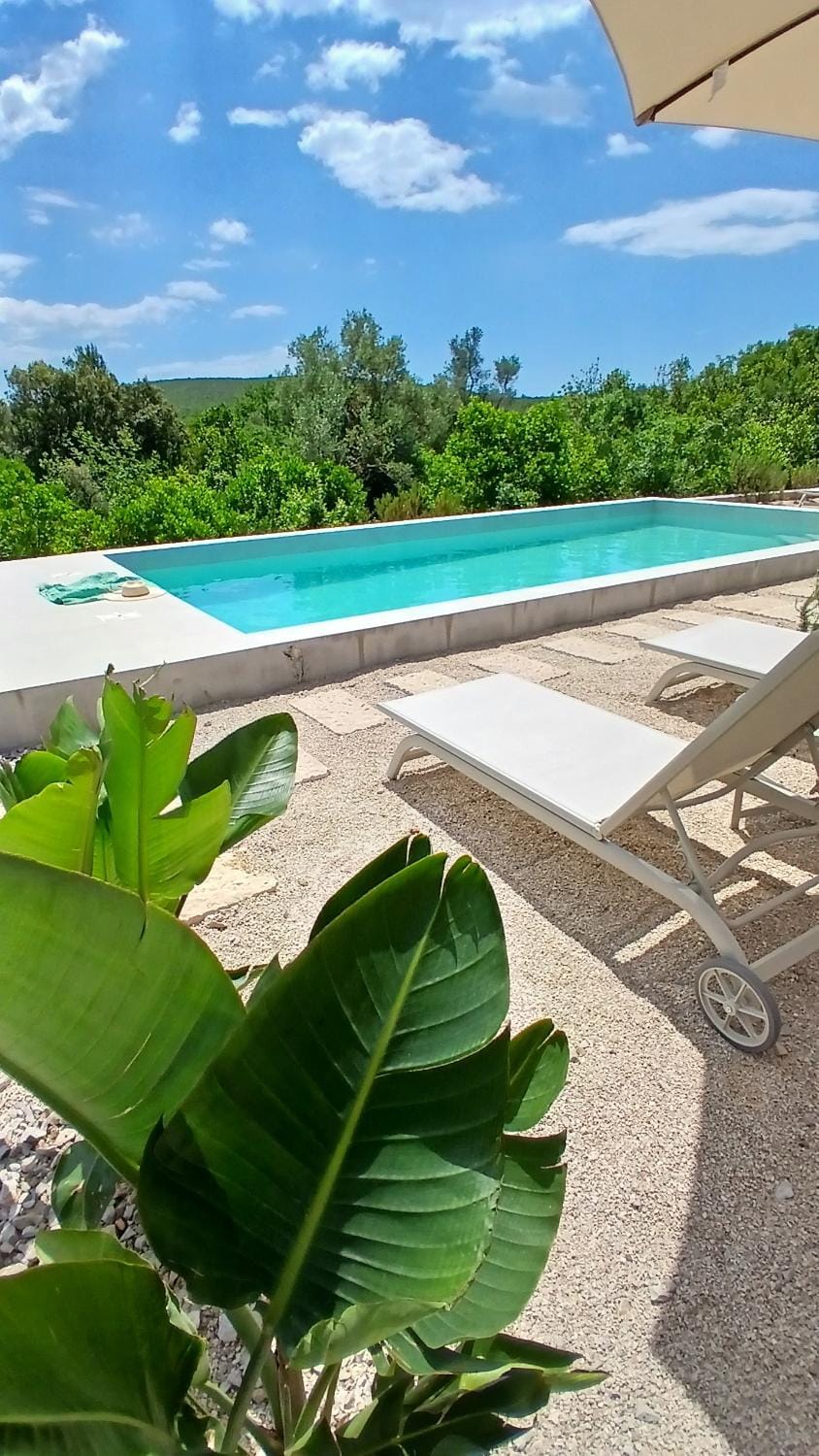 Day, Garden, Garden view, Swimming pool, sunbed