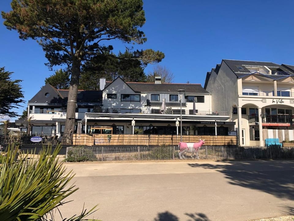 L'Émeraude - vue mer exceptionnelle - plage à pied Apartment in Clohars-Carnoët