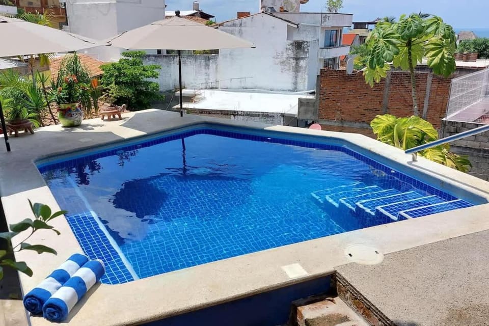 Day, Pool view, Swimming pool