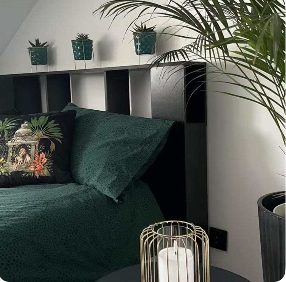 Blue Mango Apartment 3 Bedrooms City Center Apartment in Poland