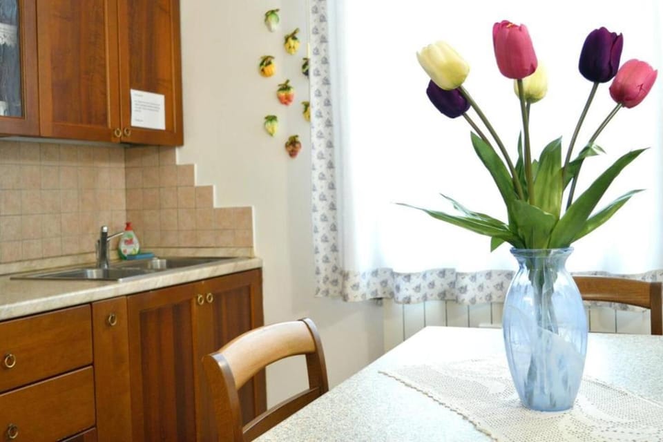 CASA MINESTRa Apartment in Venice