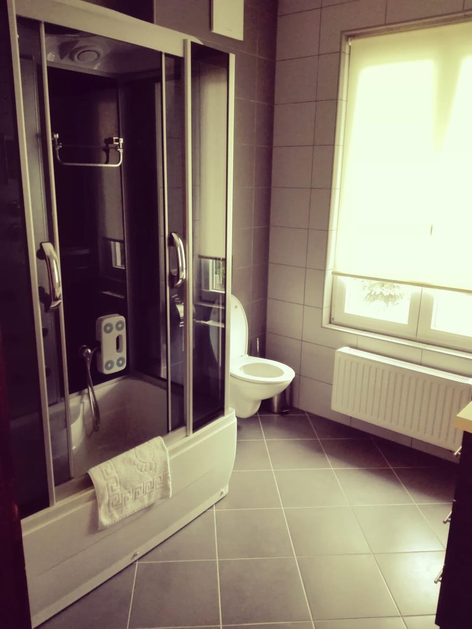 Shower, Toilet, Bathroom, Bath