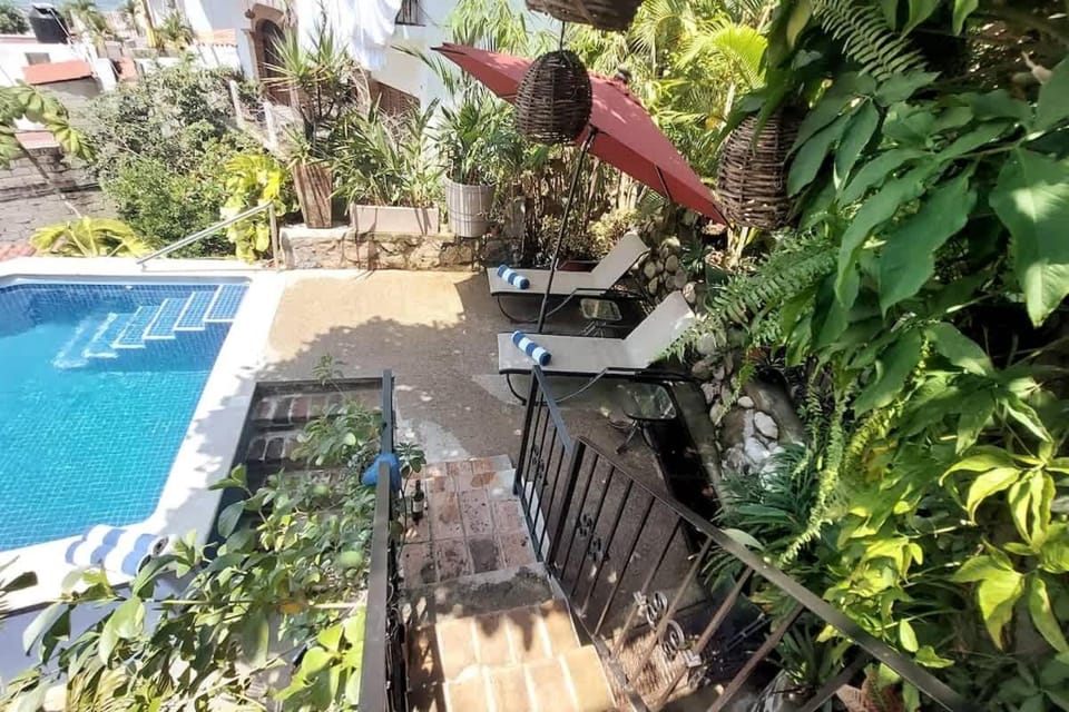 Day, Garden, Garden view, Pool view, Swimming pool, sunbed