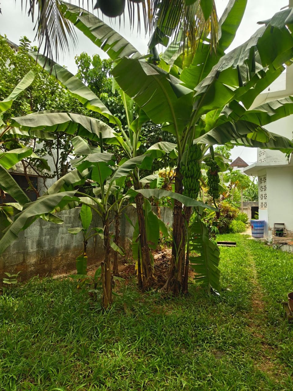 Love Nest Mbweni Apartment in Tanzania