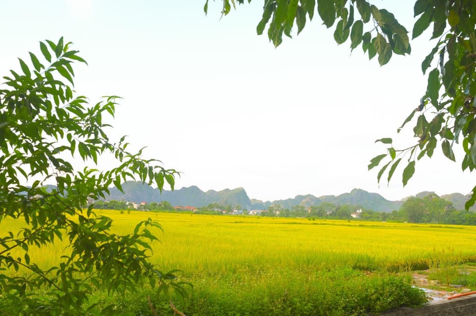 Day, Natural landscape, View (from property/room), View (from property/room)