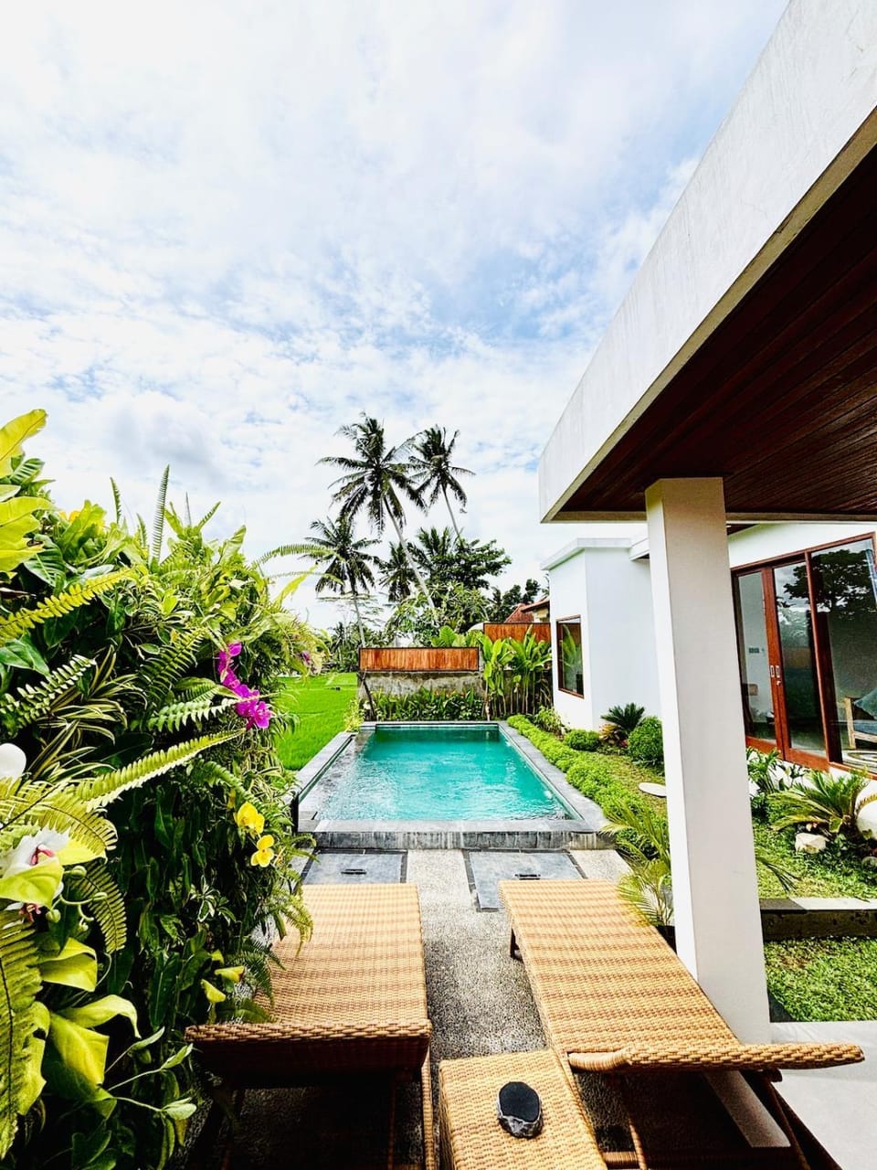 Patio, Day, Garden, Garden view, Pool view, Swimming pool, sunbed