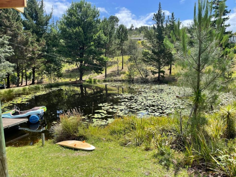 Fishing, Garden