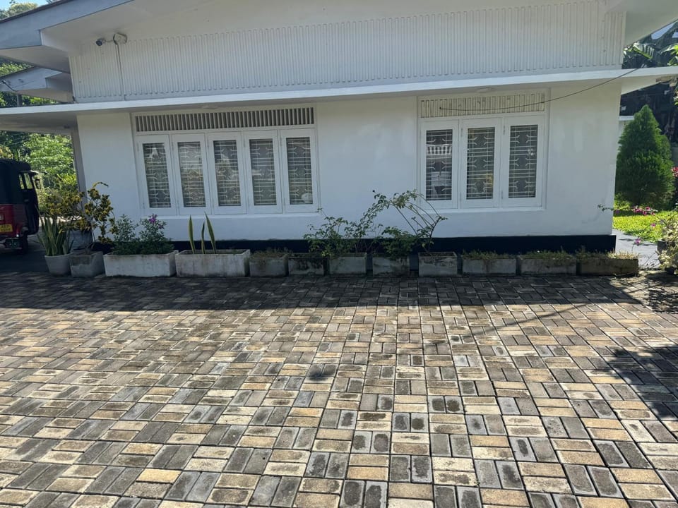 Property building, Garden, Garden view