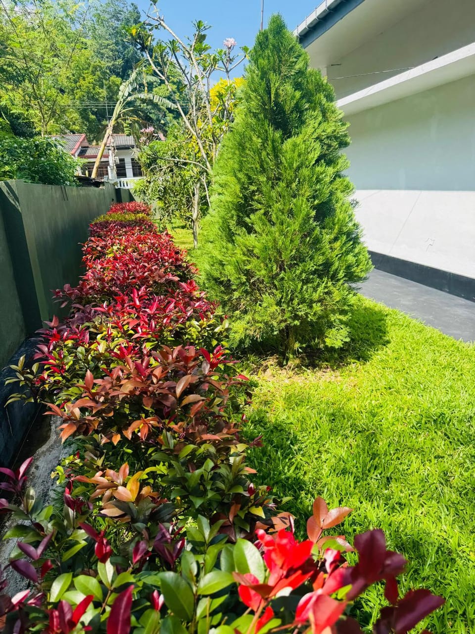 Garden, Garden view