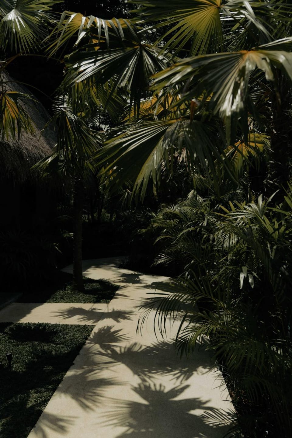 Natural landscape