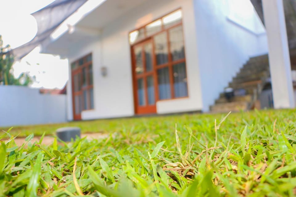 Property building, Day, Garden