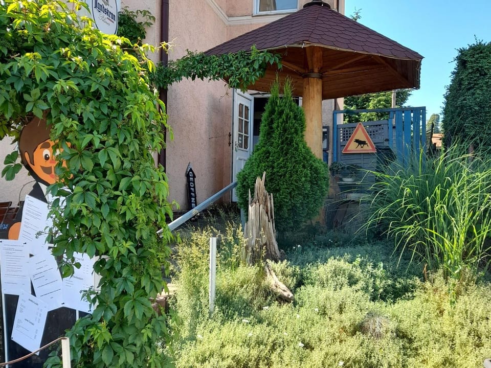 Property building, Spring, Garden, Garden view