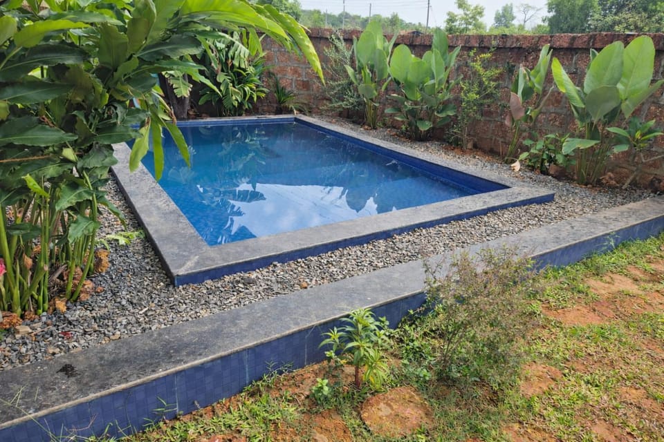 Pool view, Swimming pool