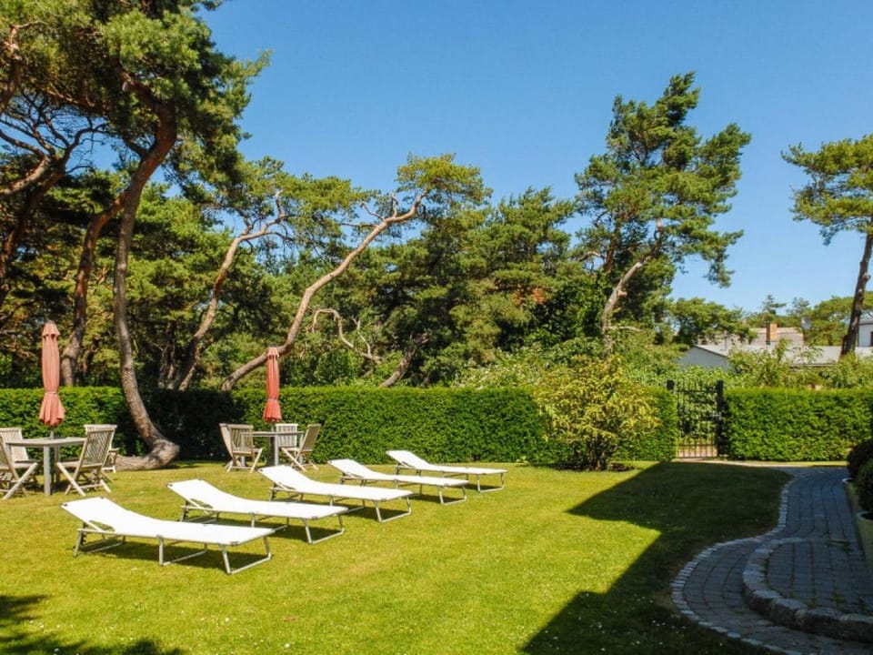 Garden, sunbed