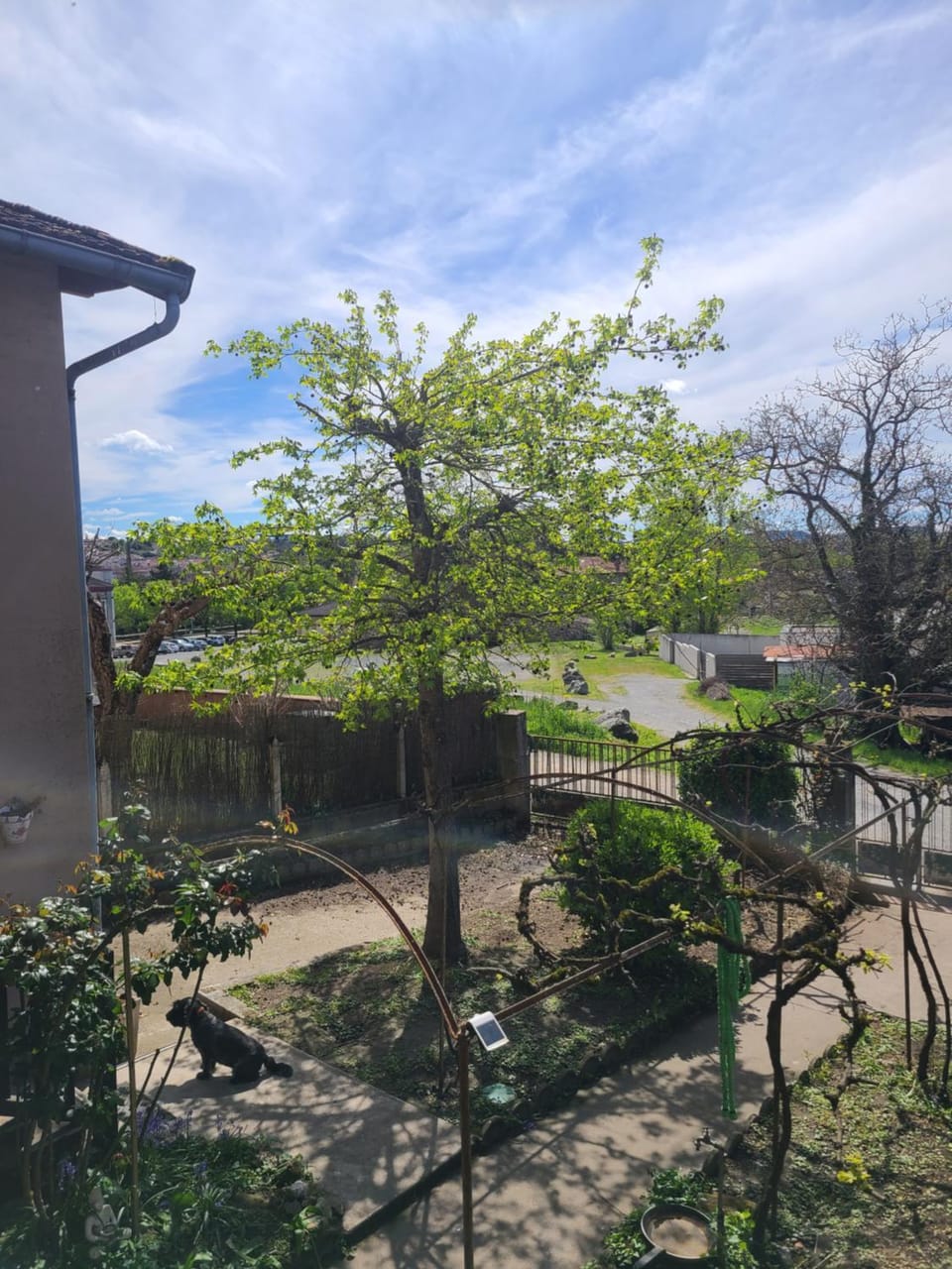 Garden view