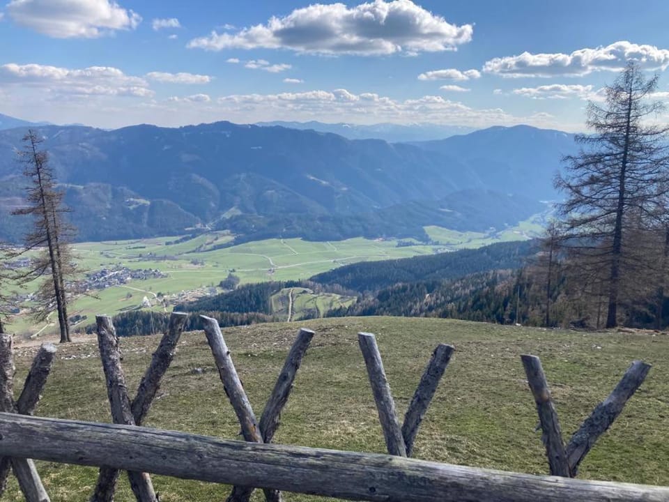 Almhütte - Roadlhütte Apartment in Styria