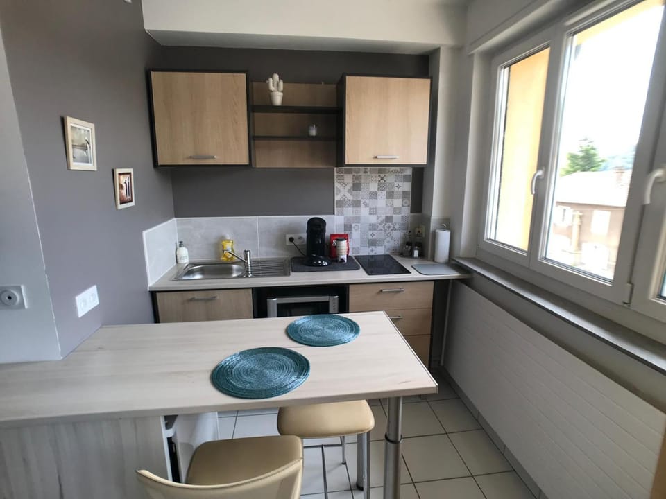 Grand studio avec parking Apartment in Grand Est