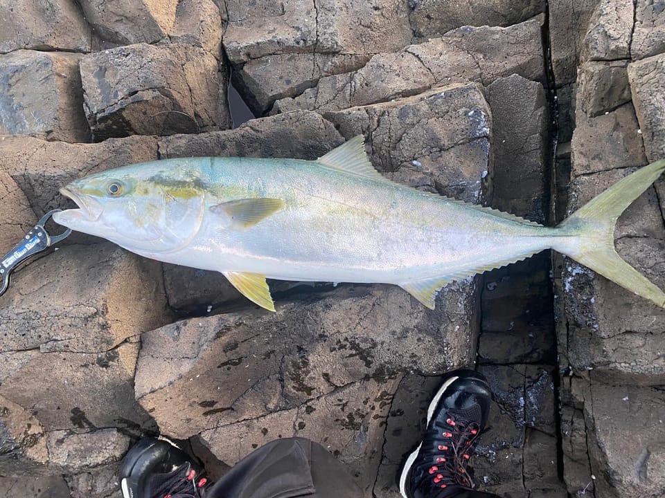 Fishing