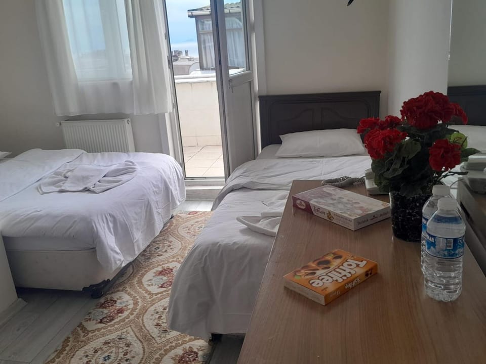 otel efendi Hotel in Istanbul